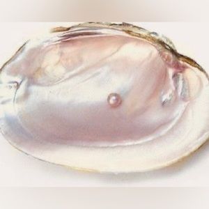 Meet your Posher, Hania